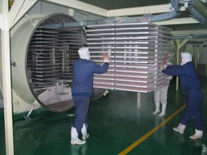 Tómarúmfrystþurrka frostþurrkavél fyrir iðnaðarmatvæli og grænmeti