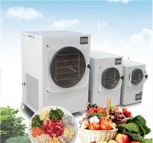 Skyndifrystþurrkaður hafragrautur Frystþurrkari