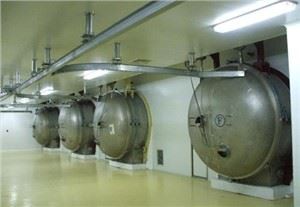 Frostþurrkunarvél Frostþurrkaður marshmallow