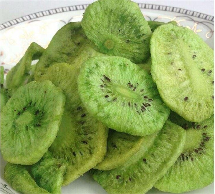 Vacuum Food Freeze Dryer manufacturers