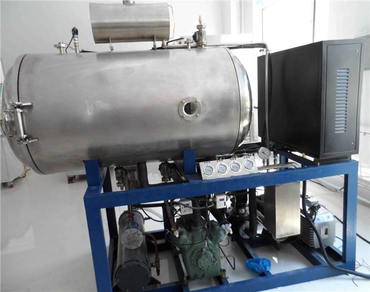Customized Vacuum Food Freeze Dryer